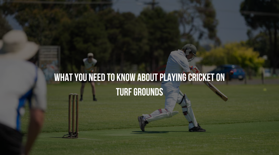 What You Need to Know About Playing Cricket on Turf Grounds